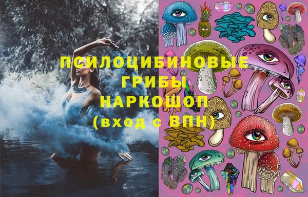 сатива Алексеевка